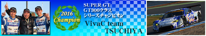 GT300 Class Team