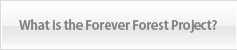 What is the Forever Forest Project?