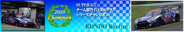 GT300 Class Team