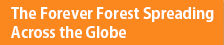 Forever Forest spreading around the world