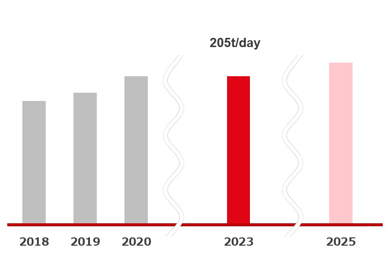 TBR business production capacity (rubber volume)