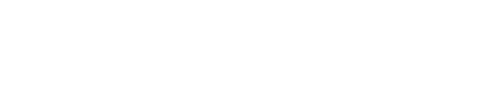 W-M-SNOW PLUS