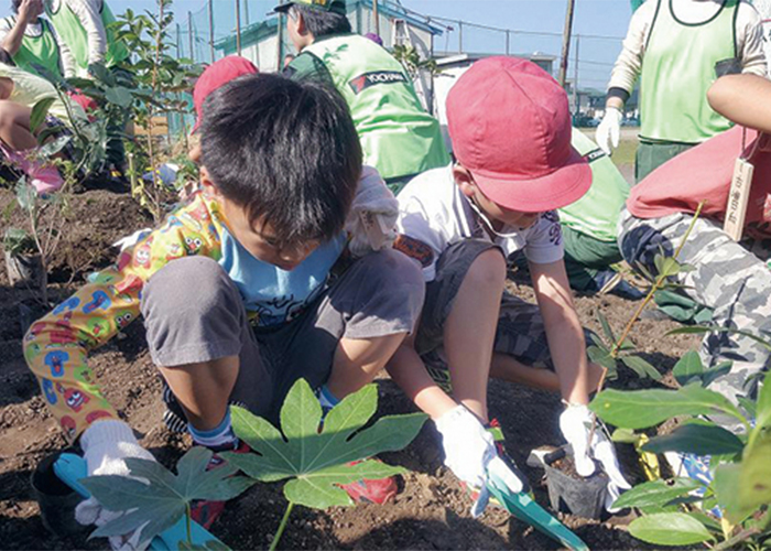 Scenes from our tree-planting festivals