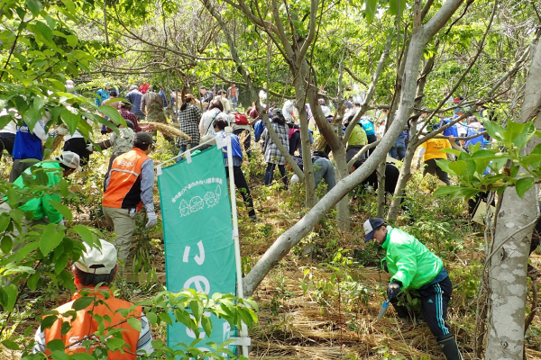 Tree planting