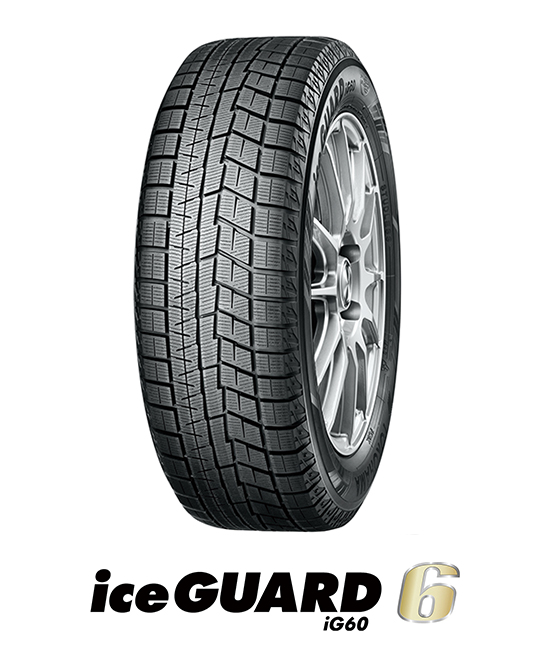 iceGUARD 6 iG60