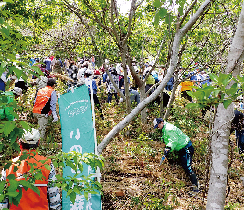 「YOKOHAMA千年の杜」植樹活動