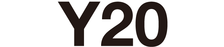 Y-20