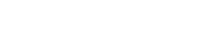 Y-731