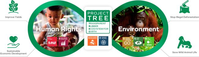 An illustration of PROJECT TREE’s advancement of human rights and environmental measures