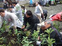 植樹の模様（右／手前右から：南雲忠信社長、宮脇昭氏、片山右京氏、舘内端氏）