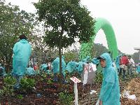 雨のなか植樹する参加者
