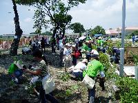 Participants planting trees