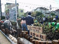 植樹ブロックごとに杜の名前をつけています。写真は「友愛の杜」