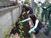 植樹の様子（中原工場）