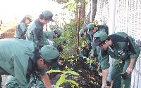 第4期植樹を行う従業員（2010年11月11日）