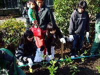 植樹する従業員とその家族の方々
