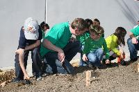 Children planting seedlings