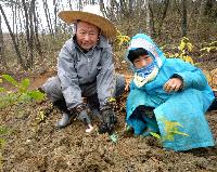 D-PARCの第一期植樹祭で植樹する宮脇氏（左）と参加者