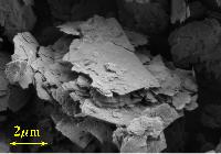 Microphotograph of 