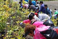 植樹する参加者の皆様