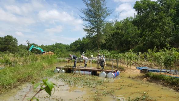Biotope creation in progress
