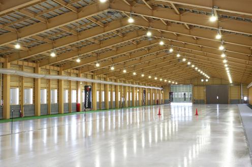 Ice track of interior