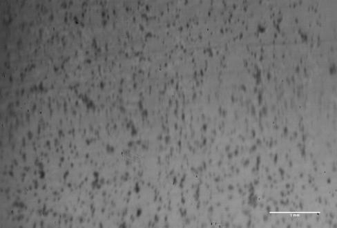 Image of contact area taken by specialized testing machine (Rubber with water-absorbing agent)