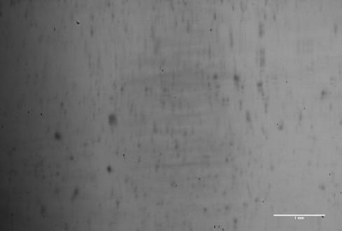 Image of contact area taken by specialized testing machine (Rubber w/o water-absorbing agent)