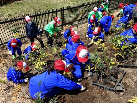 大槌学園の児童と植樹指導をする横浜ゴム社員