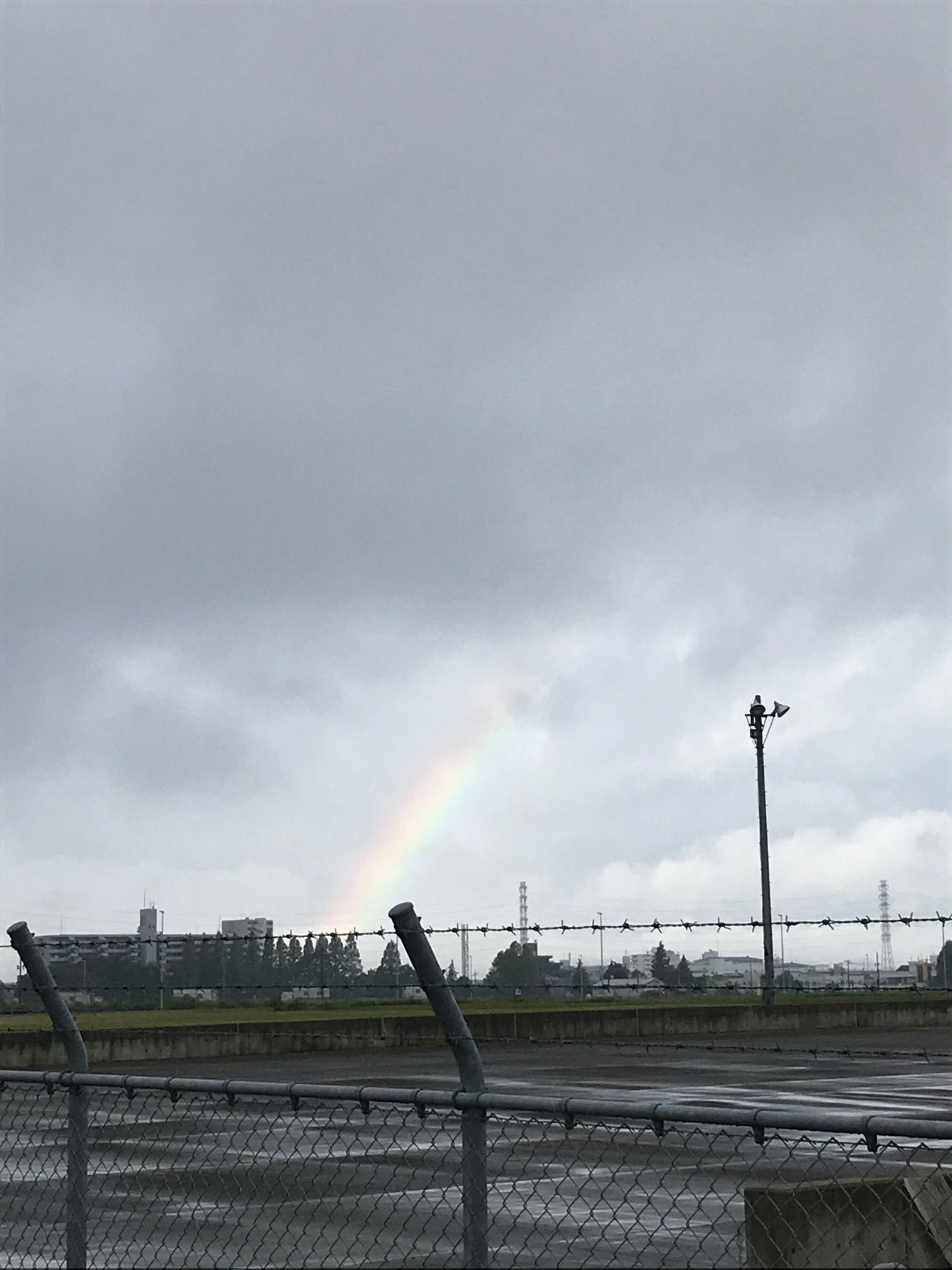 いつぶりだろう・・・