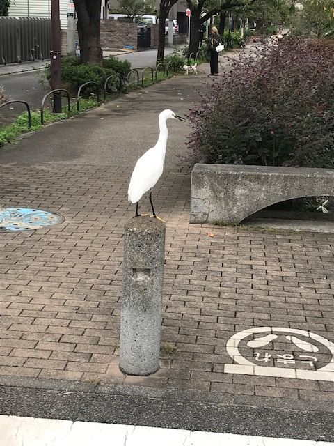  遭遇