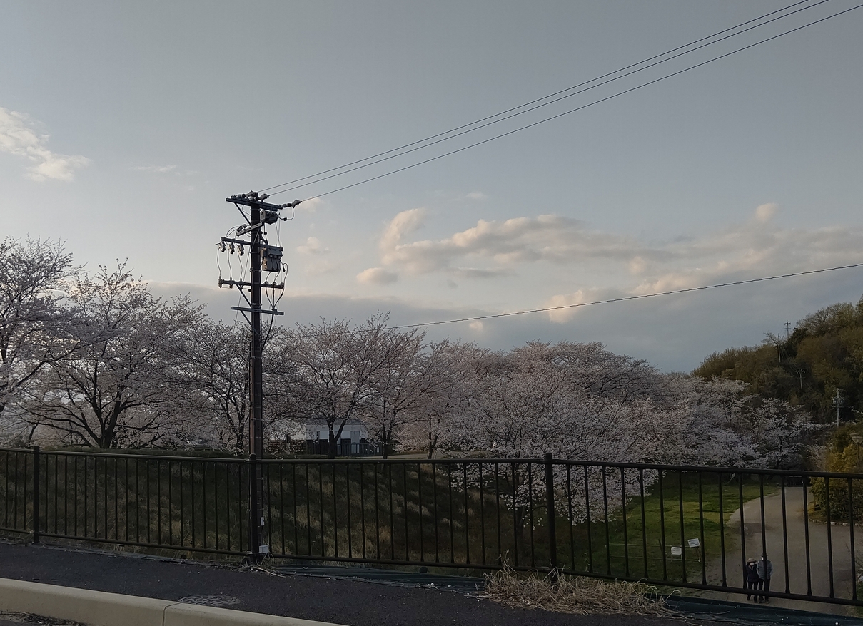 春の風景