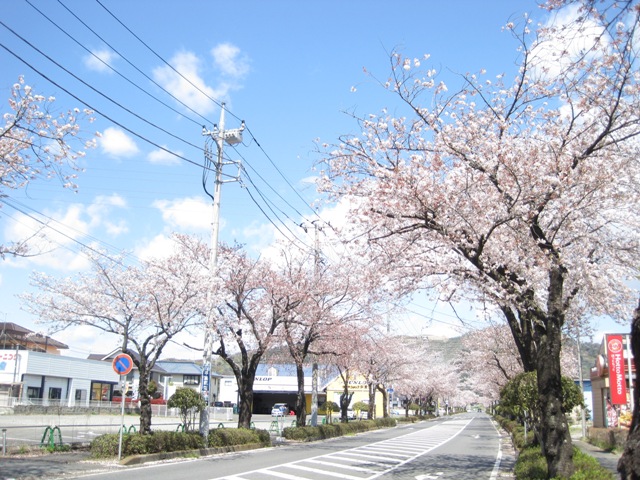 タイヤガーデン桜川店