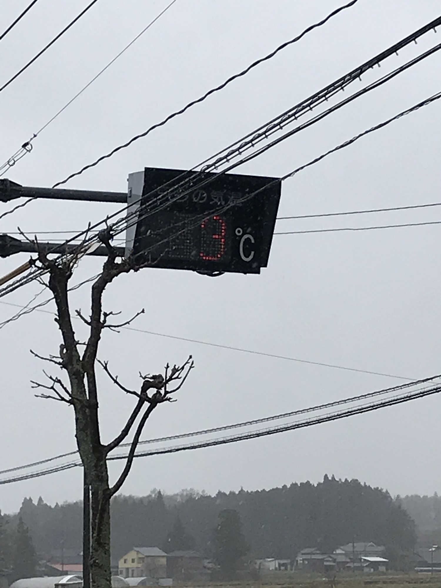 季節はずれの降雪（苦笑