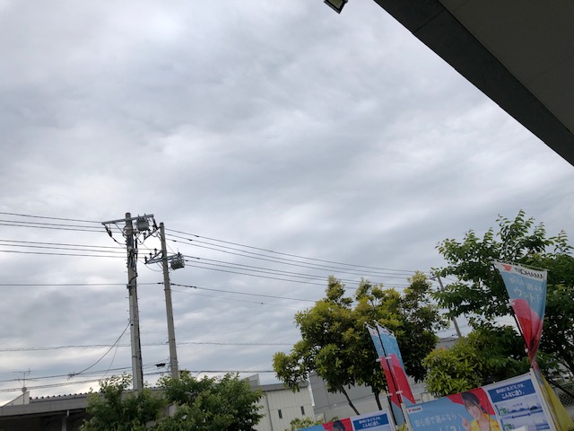 今日はすっきりしない天気っす&hellip;