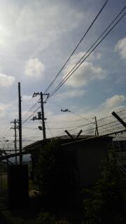 飛行機