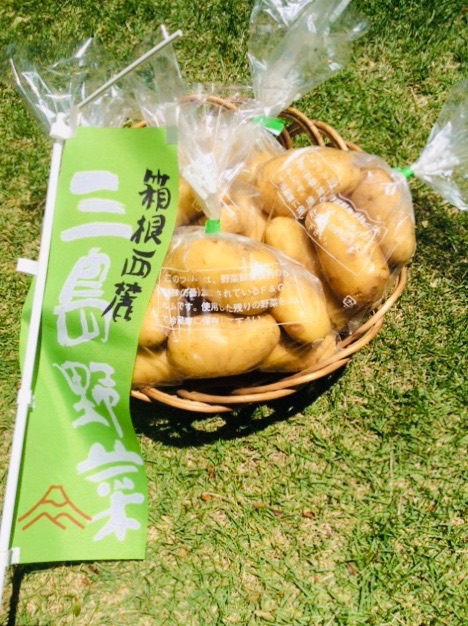 今日もジメジメ