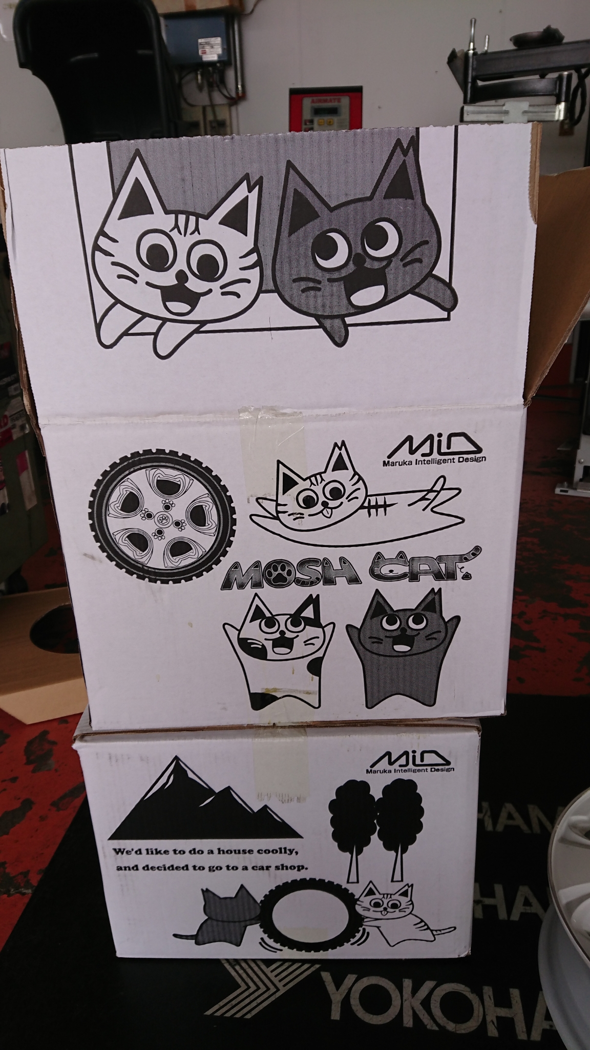 猫、お好きですか？