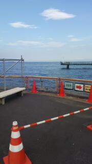 釣り場見学