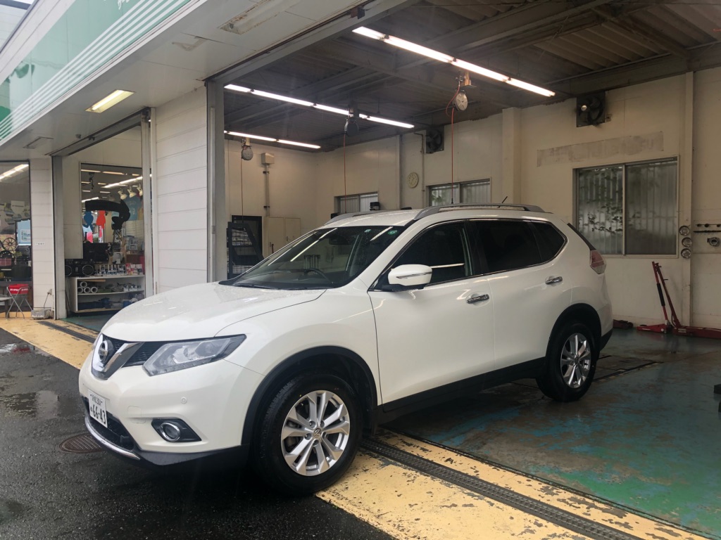 エクストレイル&times; GEOLANDAR CV G058