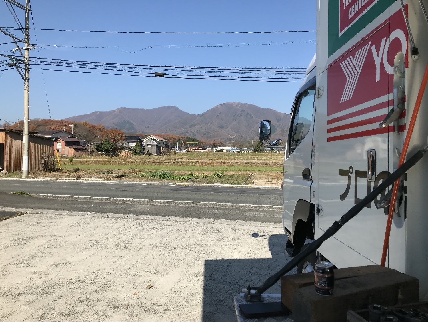 今年は早いそうです