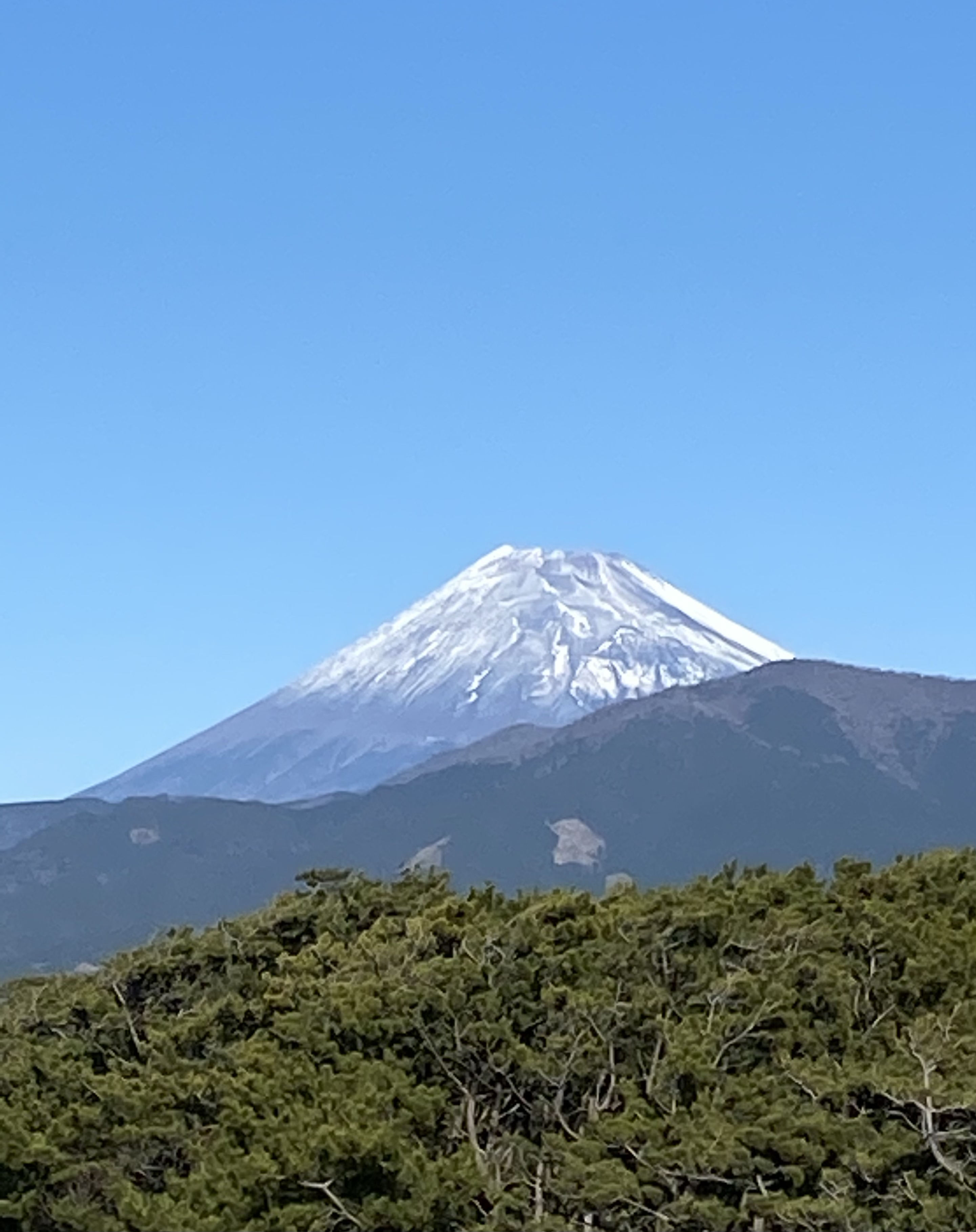 あけましておめでとうございます。