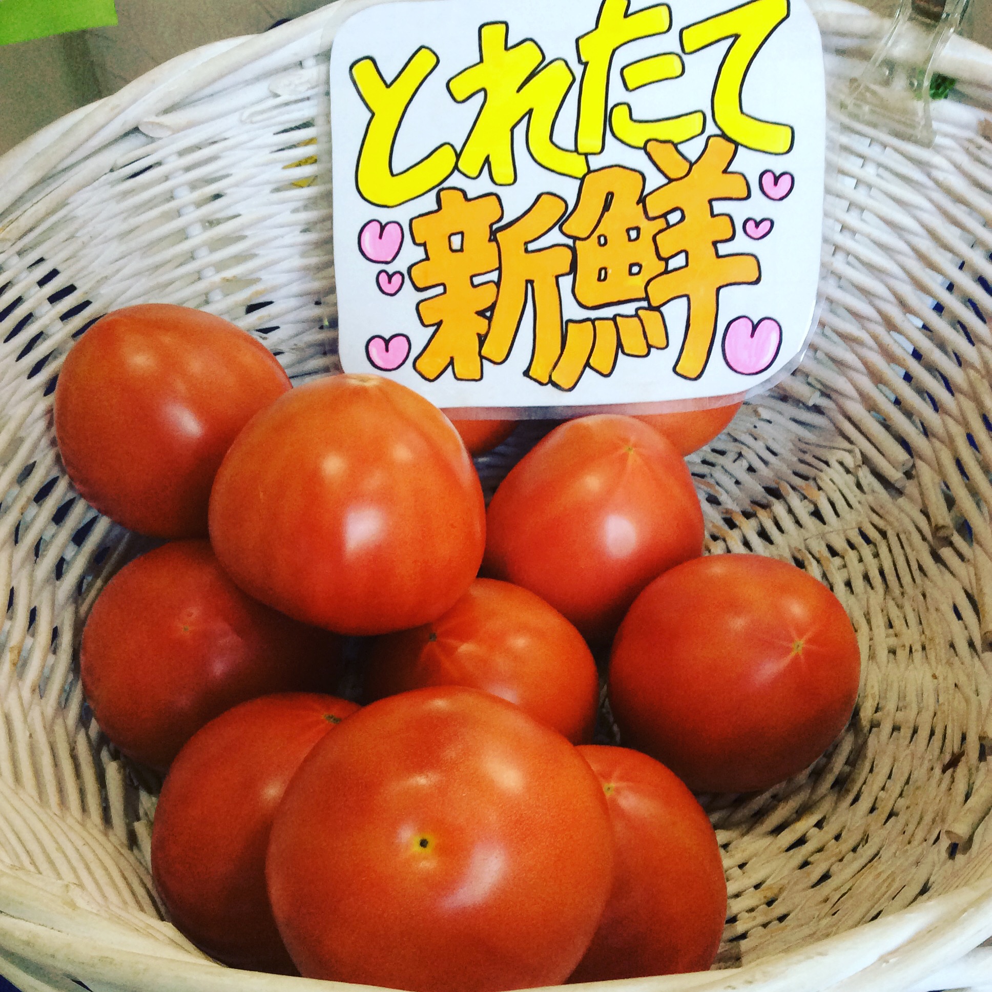 今日の献立に！