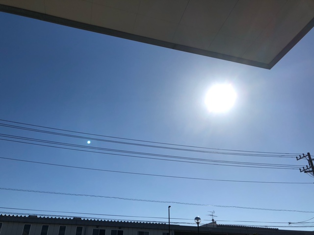 強風で色々飛びそう(&acute;｡&bull;ㅅ&bull;｡`)