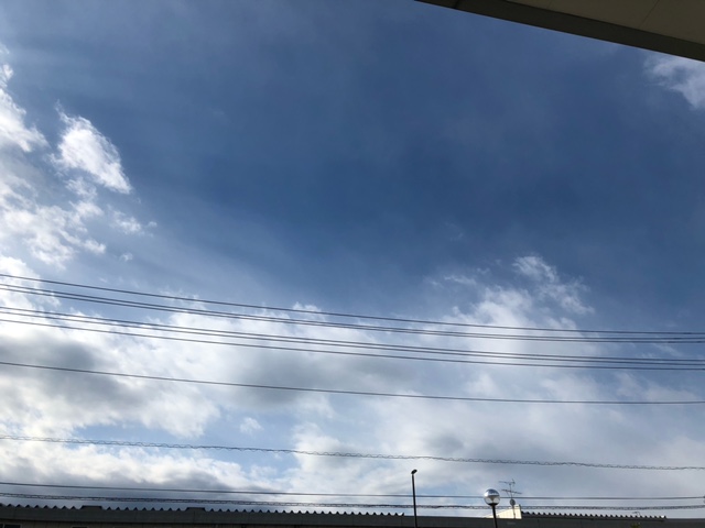 体感温度が本当に低い！
