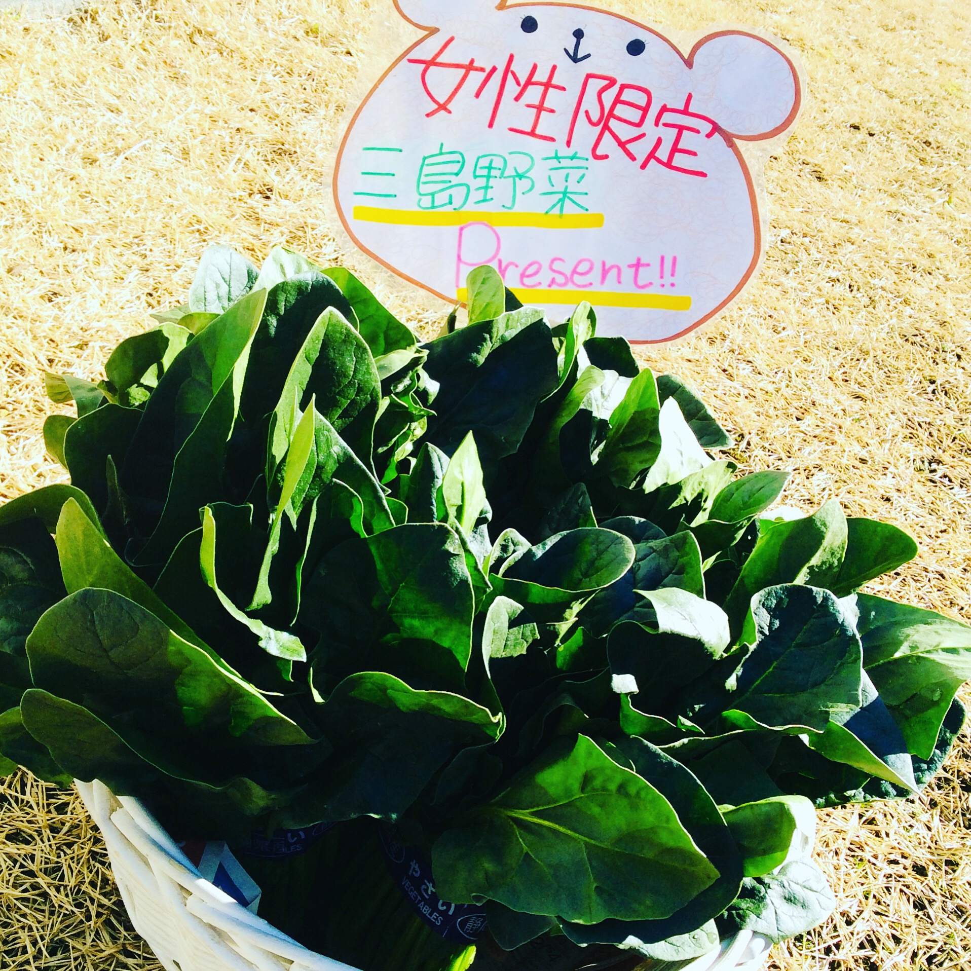 今日のお野菜！！！