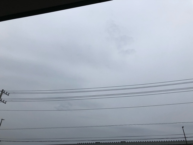 雨です。