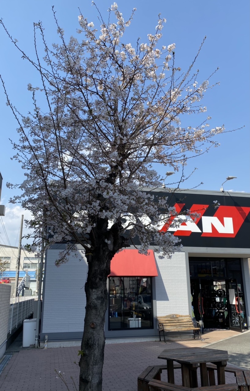 今月もありがとうございました。