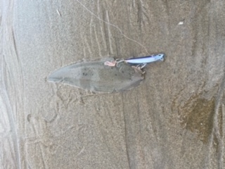 連休で夜釣りと昼間の釣り