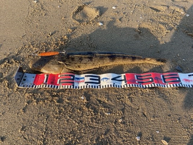 連休の夕方に